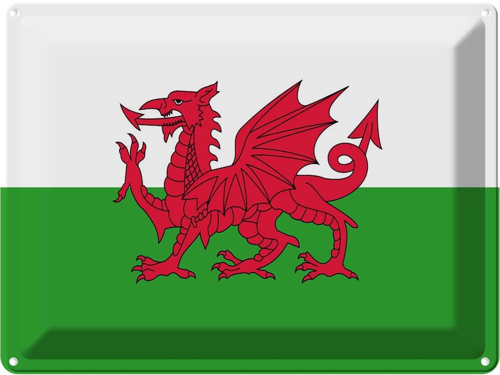 [LA-119567] Blechschild 30x40 cm Wales Flagge Geburtstag Feiern Party Fahne Wappen