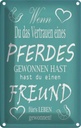 Blechschild 18x12 cm Wenn du Vertrauen eines Pferd Spruch Zitat