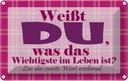 Blechschild 12x18 cm Wichtigste bist DU Dekoration Spruch Zitat
