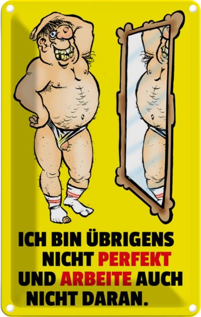 [LA-111878-1812] Blechschild 18x12 cm ch bin übrigens nicht perfekt Dekoration Spruch Zitat