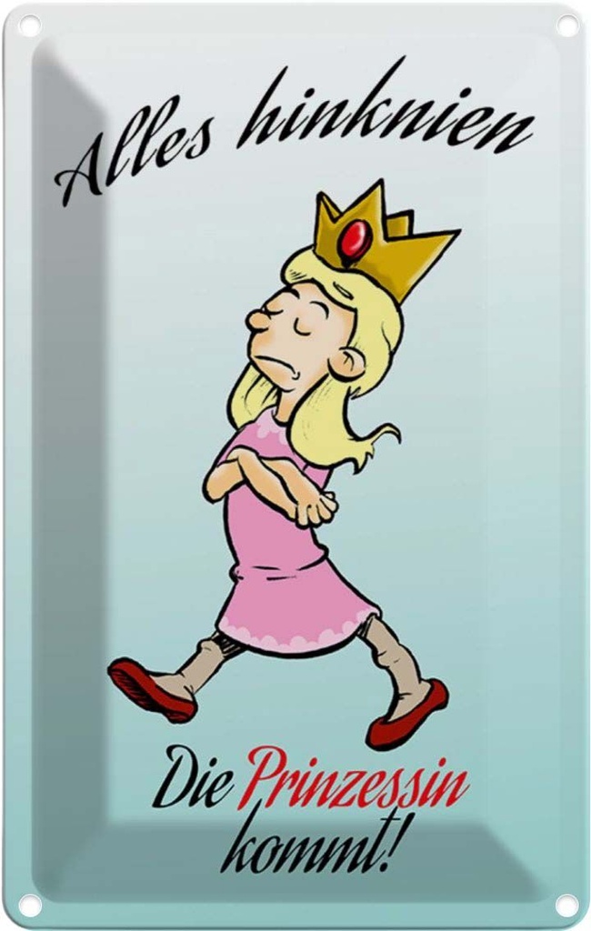 [LA-111892-1812] Blechschild 18x12 cm Alles hinknien Prinzessin kommt Spruch Zitat