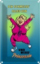 Blechschild 18x12 cm Schmeiss alles hin werd Prinzessin Spruch Zitat