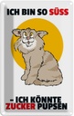 Blechschild 18x12 cm Bin süß könnte Zucker pupsen Katze