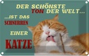 Blechschild 12x18 cm Schönste Ton ist Katzenschnurren Tier Haustier Katze