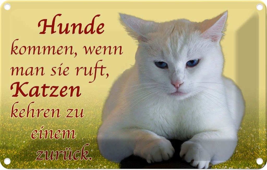 [LA-111998-1812] Blechschild 12x18 cm Hunde kommen Katzen kehren zurück Tier Haustier Katze