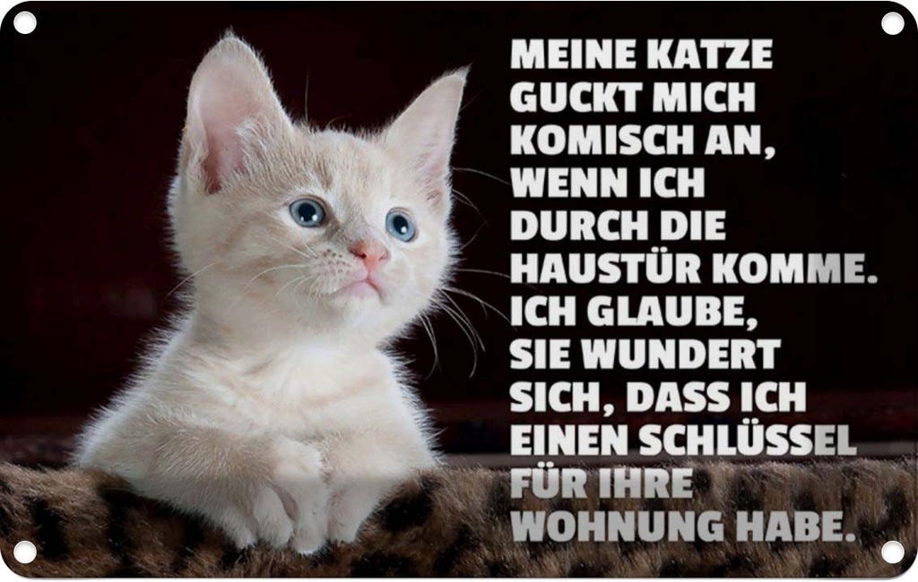 [LA-111999-1812] Blechschild 12x18 cm Katze guckt mich komisch an Tier Haustier