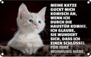 Blechschild 12x18 cm Katze guckt mich komisch an Tier Haustier