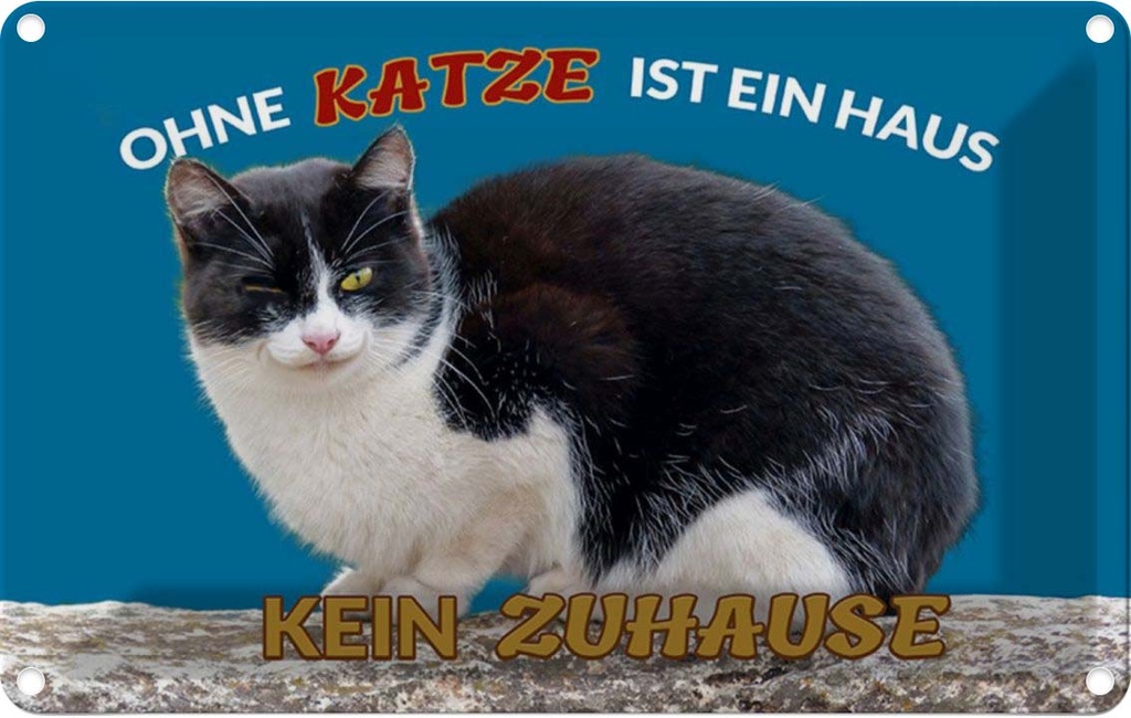 [LA-112002-1812] Blechschild 12x18 cm Ohne Katze kein Zuhause Tier Haustier