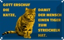 Blechschild 12x18 cm Katze Tiger zum streicheln Tier Haustier