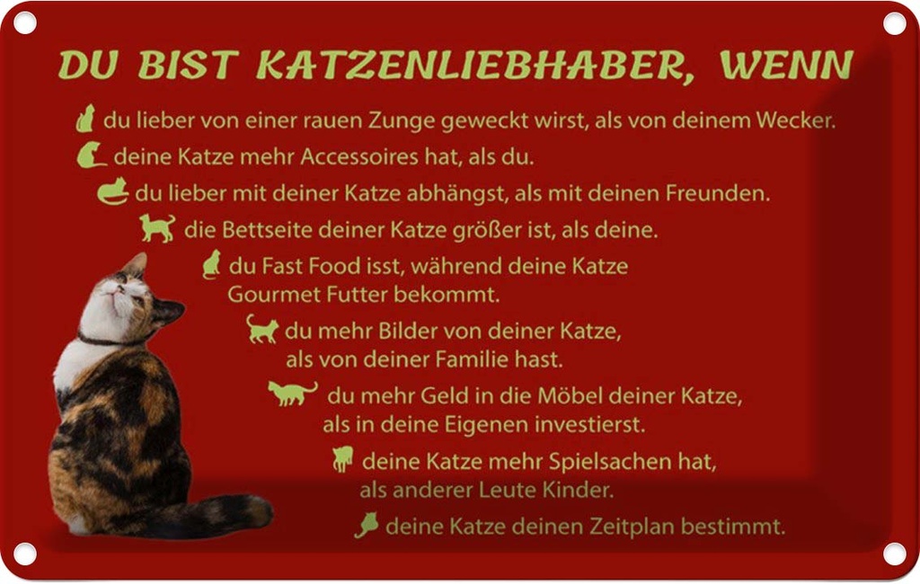 [LA-112005-1812] Blechschild 12x18 cm du bist Katzenliebhaber wenn Dekoration Katze