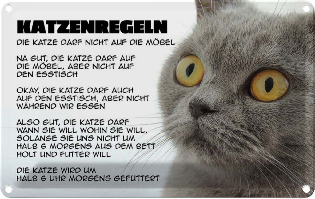 [LA-112006-1812] Blechschild 12x18 cm Katzenregeln Katze darf nicht Tier Haustier