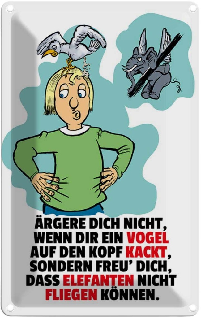 [LA-112049-1812] Blechschild 18x12 cm Freu dich Elefanten nicht fliegen Spruch Zitat