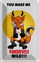 Blechschild 18x12 cm You make me foxdevils wild Fuchs Spruch Zitat