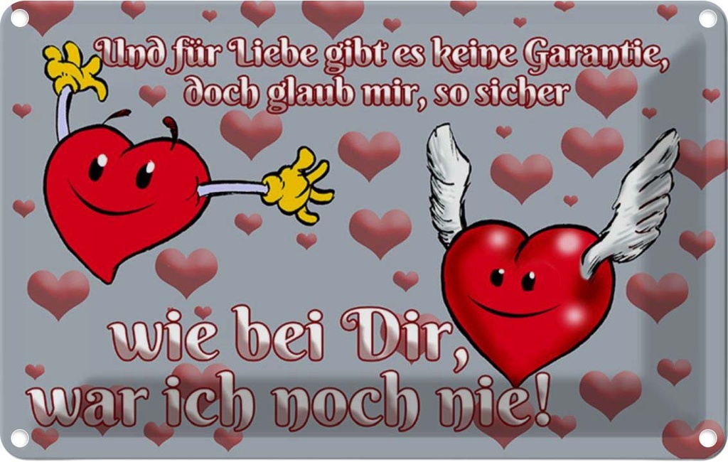 [LA-112135-1812] Blechschild 12x18 cm Für Liebe gibt's keine Garantie Spruch Zitat