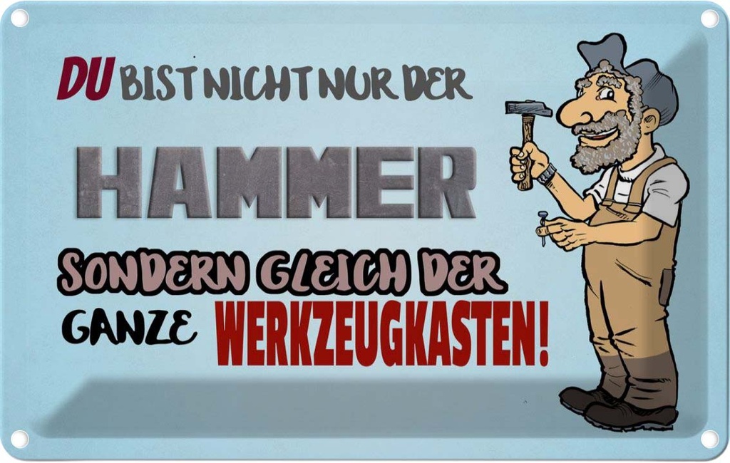 [LA-112404-1812] Blechschild 12x18 cm du Bist nicht nur der Hammer Dekoration Spruch Zitat