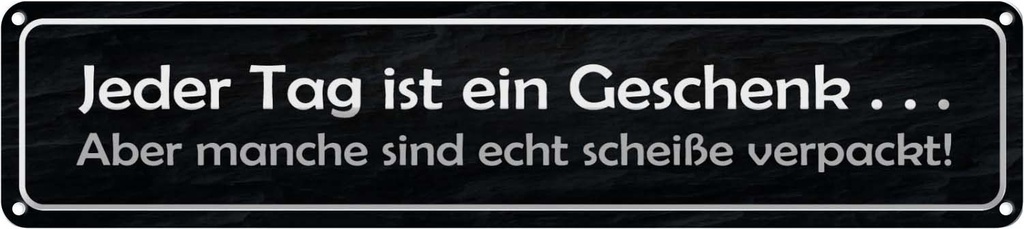 [LA-120884] Blechschild 10x46 cm jeder Tag ist ein aber Spruch Zitat