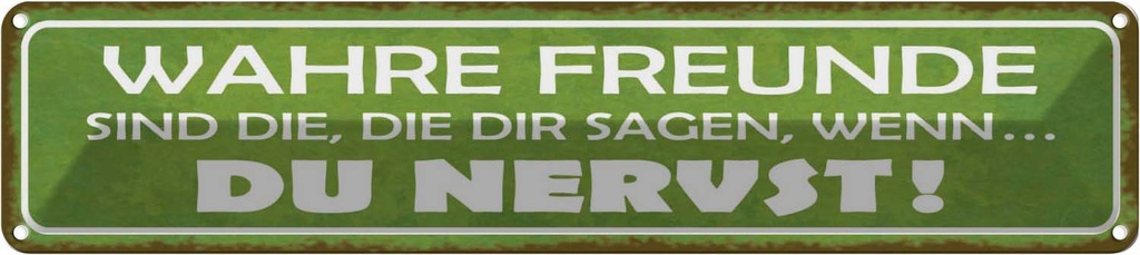 [LA-121163] Blechschild 10x46 cm wahre Freunde sagen du nervst Familie