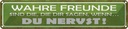 Blechschild 10x46 cm wahre Freunde sagen du nervst Familie