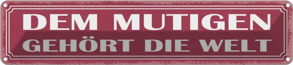 [LA-121403] Blechschild 10x46 cm dem mutigen gehört die Welt Familie Freunde
