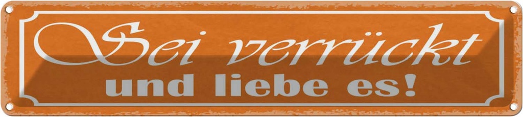 [LA-121413] Blechschild 10x46 cm sei verrückt und liebe es Dekoration