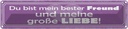 Blechschild 10x46 cm bester Freund und große Liebe Familie Freunde