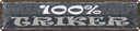 Blechschild 10x46 cm 100% Trinker Sport Hobby