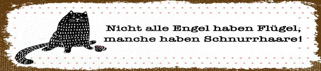 [LA-1814584] Blechschild 46x10 cm Nicht jeder Engel
