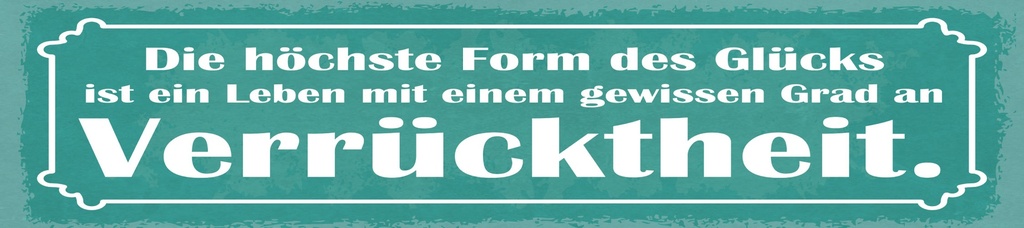 [LA-1814929] Blechschild 10x46 cm Ein Leben mit gewissen Grad an Verrücktheit