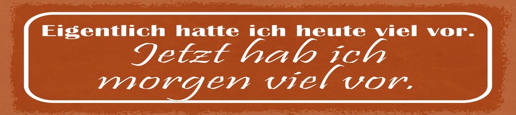 [LA-1814956] Blechschild 10x46 cm Eigentlich hatte ich heute viel vor