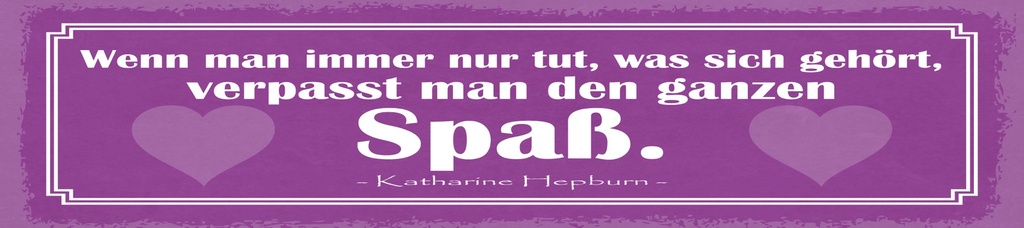 [LA-1814985] Blechschild 10x46 cm Zitat  verpasst man den ganzen Spaß