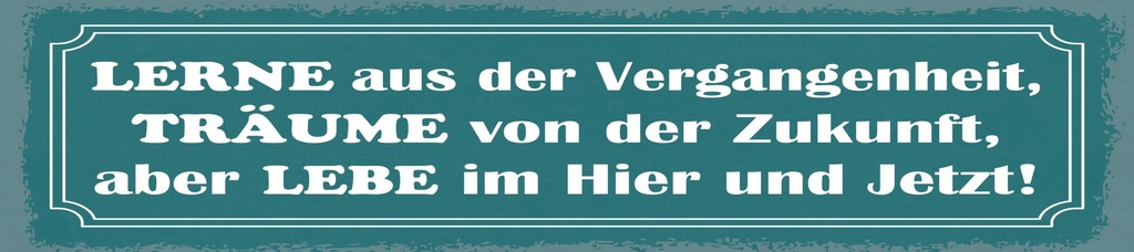 [LA-1814999] Blechschild 10x46 cm Lerne aus der Vergangenheit