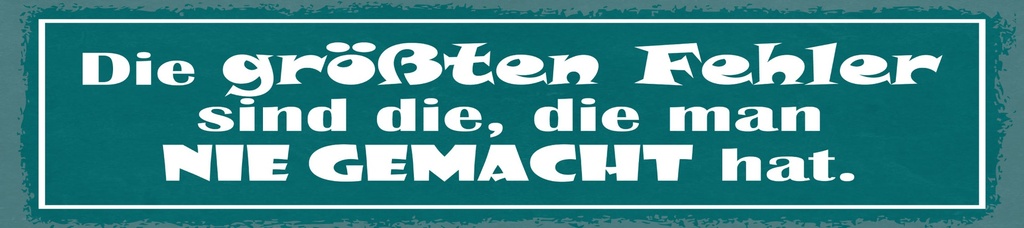 [LA-1815007] Blechschild 10x46 cm Fehler, die man nie gemacht hat