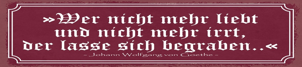 [LA-1815035] Blechschild 10x46 cm Zitat  Wer nicht mehr liebt und nicht mehr irrt