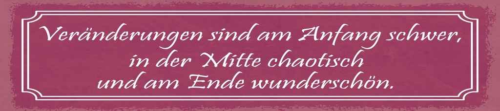 [LA-1815077] Blechschild 10x46 cm Veränderung sind am Anfang schwer