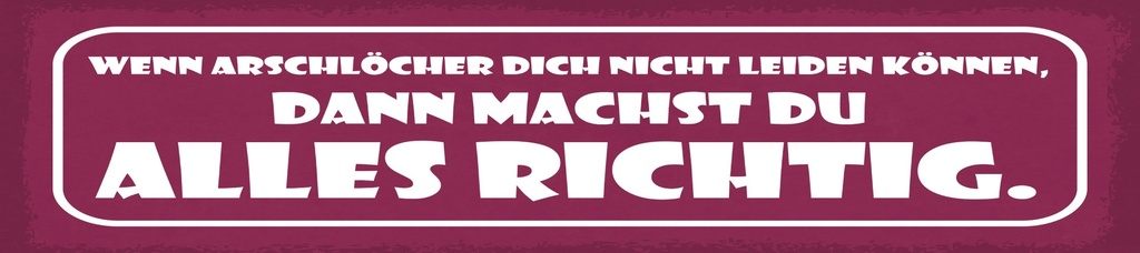 [LA-1815141] Blechschild 10x46 cm Wenn Arschlöcher dich nicht leiden können