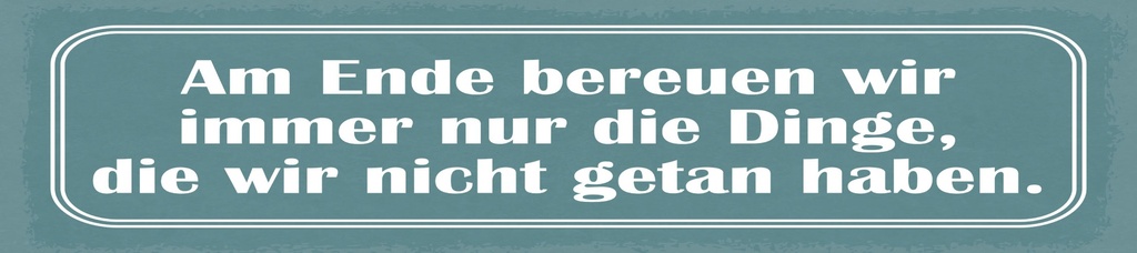 [LA-1815158] Blechschild 10x46 cm Am Ende bereuen wir immer nur die Dinge
