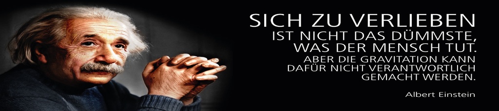 [LA-1815192] Blechschild 10x46 cm Einstein Zitat  Sich zu verlieben