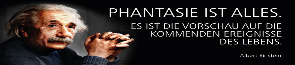 [LA-1815195] Blechschild 10x46 cm Einstein Zitat  Phantasie ist Alles
