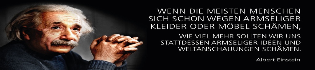 [LA-1815196] Blechschild 10x46 cm Einstein Zitat  Armseliger Ideen schämen