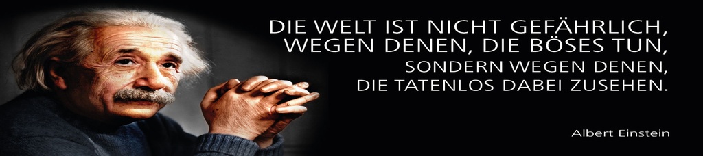 [LA-1815198] Blechschild 10x46 cm Einstein Zitat  Die Welt ist nicht gefährlich