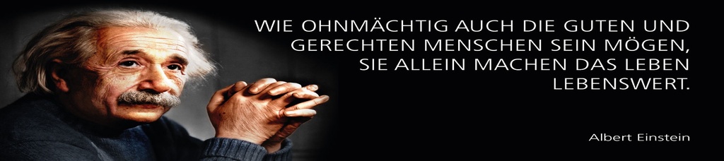 [LA-1815201] Blechschild 10x46 cm Einstein Zitat  Wie ohnmächtig auch die guten sein mögen