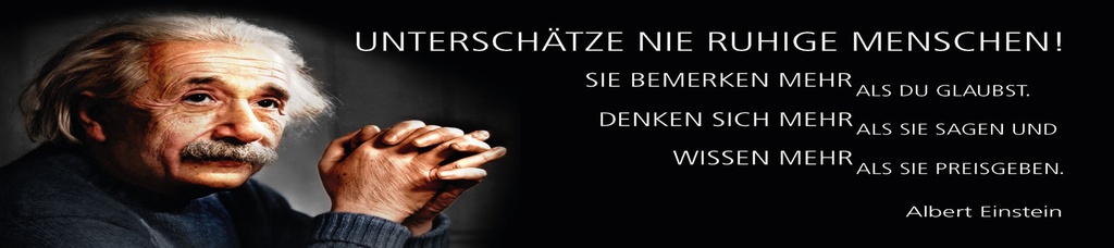 [LA-1815202] Blechschild 10x46 cm Einstein Zitat  Unterschätze nie ruhige Menschen