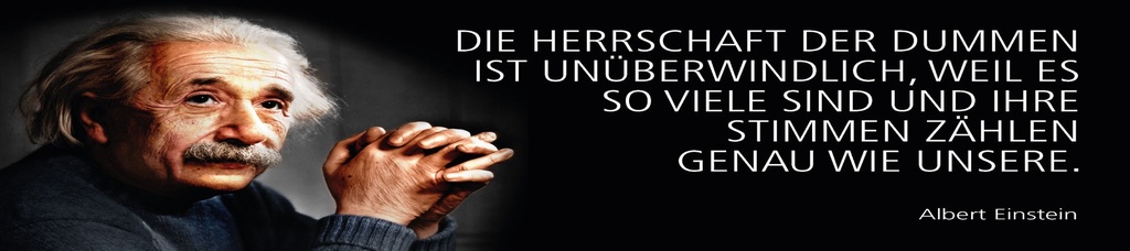 [LA-1815203] Blechschild 10x46 cm Einstein Zitat  Die Herrschaft der Dummen ist unüberwindlich