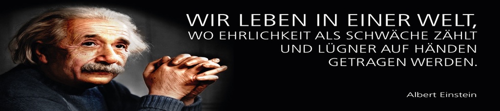 [LA-1815204] Blechschild 10x46 cm Einstein Zitat  Wir leben in einer Welt, wo Ehrlichkeit