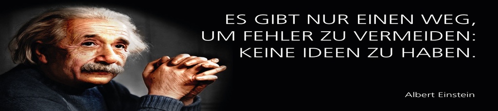 [LA-1815211] Blechschild 10x46 cm Einstein Zitat  Es gibt nur einen Weg