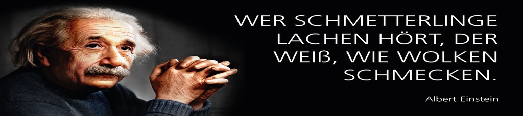 [LA-1815212] Blechschild 10x46 cm Einstein Zitat  Wer Schmetterlinge lachen hört