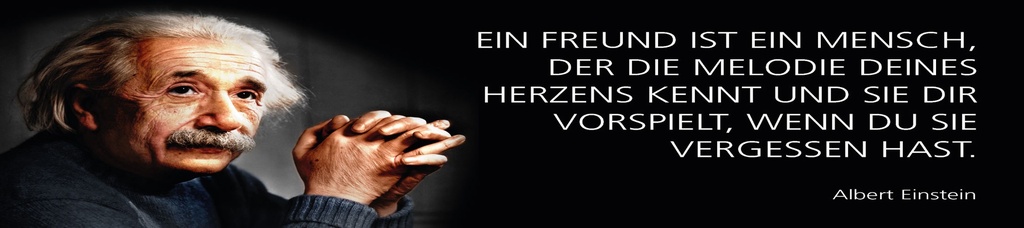 [LA-1815213] Blechschild 10x46 cm Einstein Zitat  Freund, der die Melodie deines Herzens