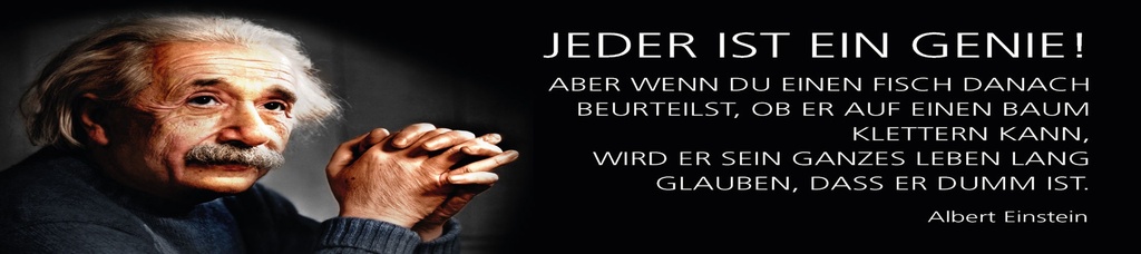 [LA-1815215] Blechschild 10x46 cm Einstein Zitat  Jeder ist ein Genie