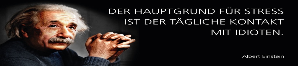 [LA-1815223] Blechschild 10x46 cm Einstein Zitat  Der Hauptgrund für Stress