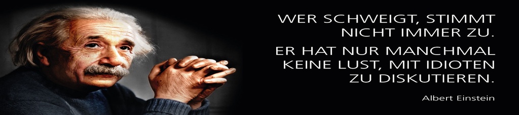 [LA-1815225] Blechschild 10x46 cm Einstein Zitat  Wer schweigt, stimmt nicht immer zu
